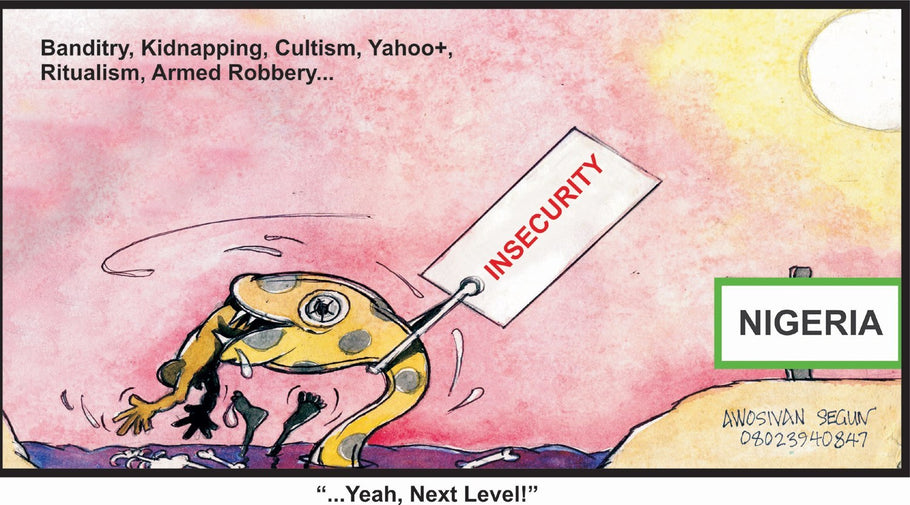 INSECURITY: Joint Task Force’ll be funded by govs, private sectors- DAWN