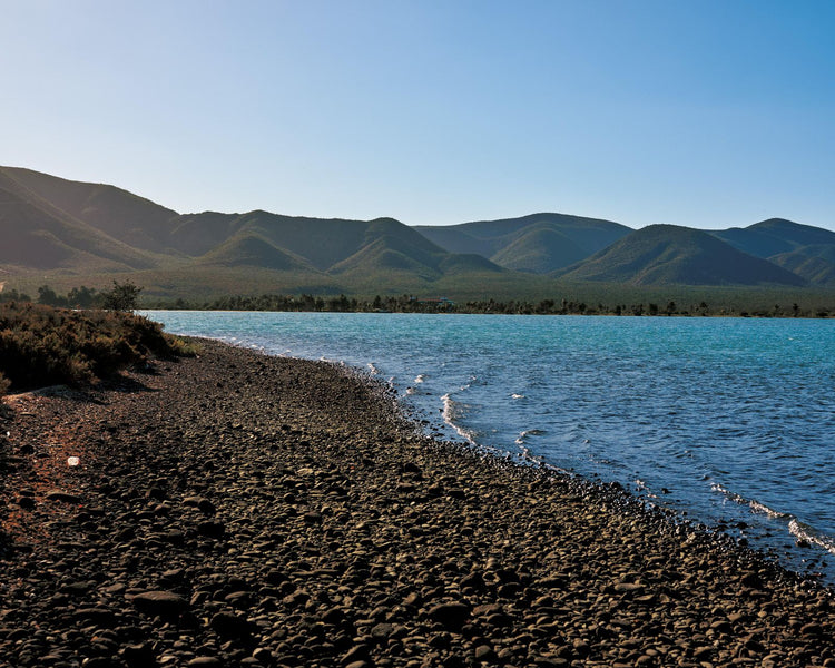 John Steinbeck's Epic Ocean Voyage Rewrote the Rules of Ecology